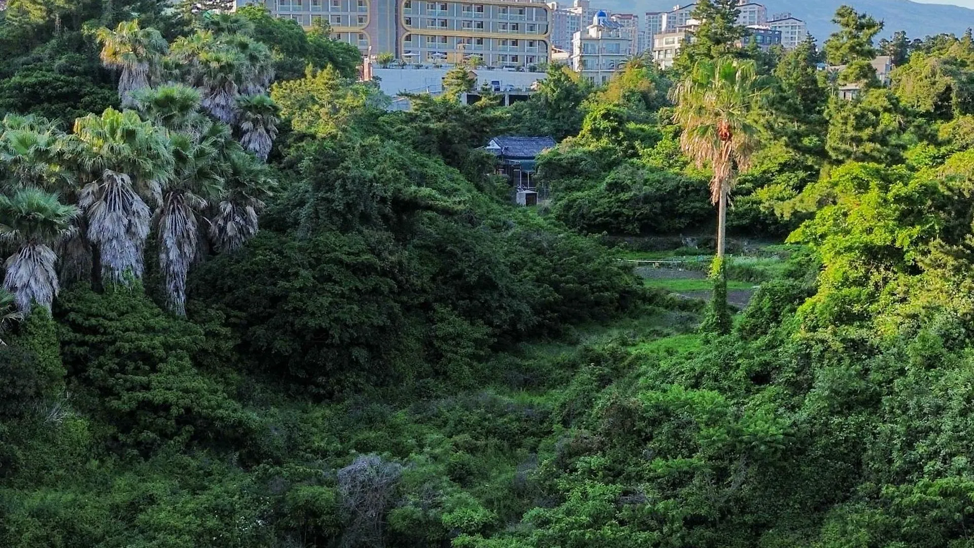 Goldone Hotel & Suites Sogüpcho 4*,